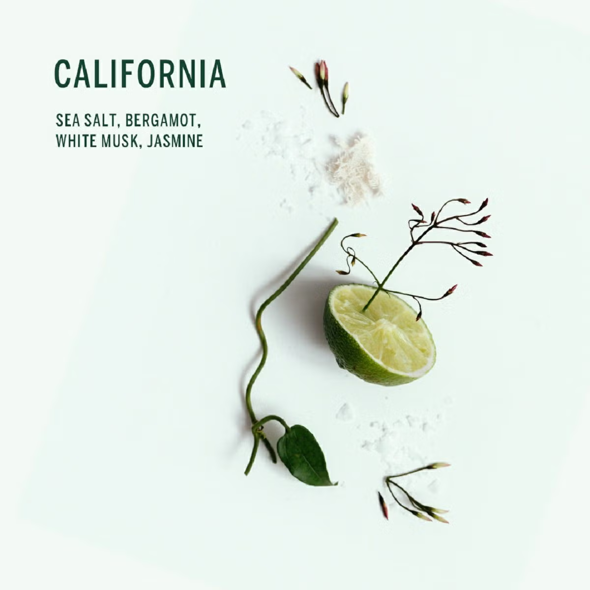 CORPUS BODY REFRESHER CALIF